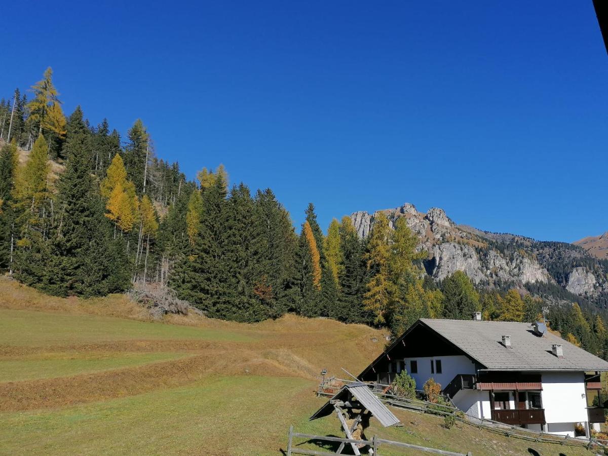 Apartment Relax Pozza di Fassa